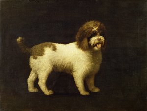 Un perro de agua, 1769